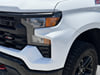 13 thumbnail image of  2024 Chevrolet Silverado 1500 Custom Trail Boss