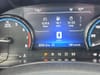 31 thumbnail image of  2024 Ford Bronco Sport Badlands