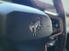 57 thumbnail image of  2024 Ford Bronco Wildtrak