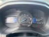 40 thumbnail image of  2024 Ford Edge SEL