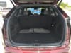 19 thumbnail image of  2024 Ford Edge ST Line
