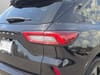 19 thumbnail image of  2024 Ford Escape ST-Line