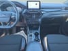 10 thumbnail image of  2024 Ford Escape ST-Line