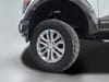 42 thumbnail image of  2024 Ford F-150 King Ranch