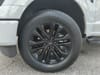 48 thumbnail image of  2024 Ford F-150 Lariat
