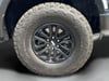 26 thumbnail image of  2024 Ford F-150 Raptor