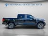 14 thumbnail image of  2024 Ford F-150 STX