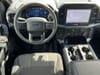 12 thumbnail image of  2024 Ford F-150 STX