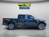 11 thumbnail image of  2024 Ford F-150 STX