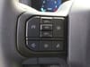 30 thumbnail image of  2024 Ford F-150 XL