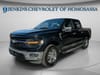 1 thumbnail image of  2024 Ford F-150 XLT