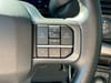 26 thumbnail image of  2024 Ford F-150 XLT