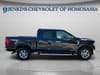2 thumbnail image of  2024 Ford F-150 XLT