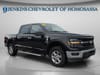 1 thumbnail image of  2024 Ford F-150 XLT