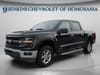 10 thumbnail image of  2024 Ford F-150 XLT