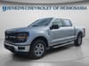 5 thumbnail image of  2024 Ford F-150 XLT