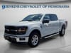 10 thumbnail image of  2024 Ford F-150 XLT