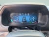32 thumbnail image of  2024 Ford F-150 XLT