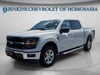 10 thumbnail image of  2024 Ford F-150 XLT