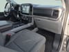 12 thumbnail image of  2024 Ford F-150 XLT