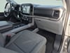 12 thumbnail image of  2024 Ford F-150 XLT