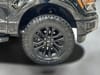 25 thumbnail image of  2024 Ford F-150 XLT
