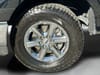 31 thumbnail image of  2024 Ford F-150 XLT