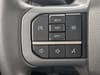 25 thumbnail image of  2024 Ford F-150 XLT