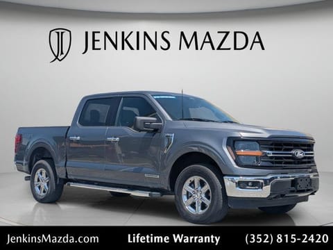 1 image of 2024 Ford F-150 XLT