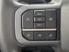 25 thumbnail image of  2024 Ford F-150 XLT