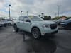 16 thumbnail image of  2024 Ford Maverick XLT