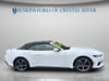 3 thumbnail image of  2024 Ford Mustang EcoBoost Premium