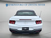 7 thumbnail image of  2024 Ford Mustang EcoBoost Premium
