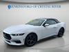 14 thumbnail image of  2024 Ford Mustang EcoBoost Premium
