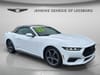 1 thumbnail image of  2024 Ford Mustang EcoBoost Premium