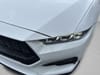 13 thumbnail image of  2024 Ford Mustang EcoBoost Premium