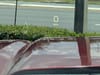 36 thumbnail image of  2024 GMC Sierra 2500HD AT4