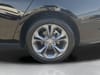 26 thumbnail image of  2024 Honda Accord EX