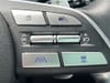 29 thumbnail image of  2024 Hyundai Palisade Calligraphy