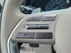 32 thumbnail image of  2024 Hyundai Palisade Calligraphy