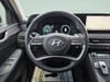 17 thumbnail image of  2024 Hyundai Palisade Limited