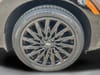 33 thumbnail image of  2024 Hyundai Santa Fe Calligraphy