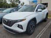 2 thumbnail image of  2024 Hyundai Tucson Hybrid Limited