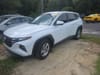 1 thumbnail image of  2024 Hyundai Tucson SE