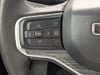 32 thumbnail image of  2024 Jeep Wagoneer Series II