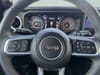 32 thumbnail image of  2024 Jeep Wrangler Sahara