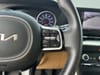 31 thumbnail image of  2024 Kia Carnival LX