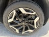 38 thumbnail image of  2024 Kia Seltos SX