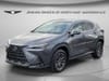 2024 Lexus NX 350h Luxury
