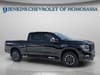 2 thumbnail image of  2024 Nissan Titan XD PRO-4X